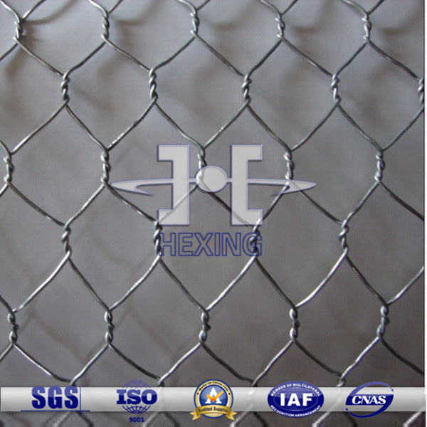 Galvanized Chicken Wire Mesh/Hexagonal Wire Netting