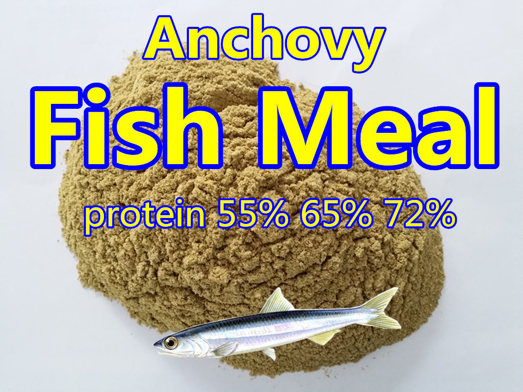 Fishmeal for Animal Feed Protein (65% 72%)