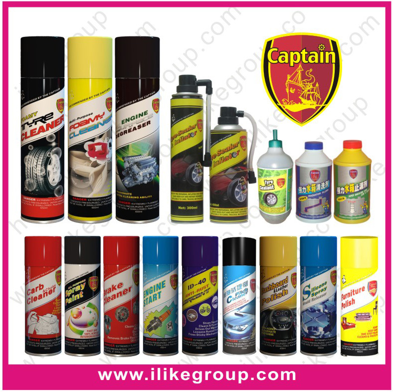 Car Care Products (ID-301--317)