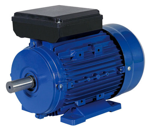 Single Phase Electric Motor