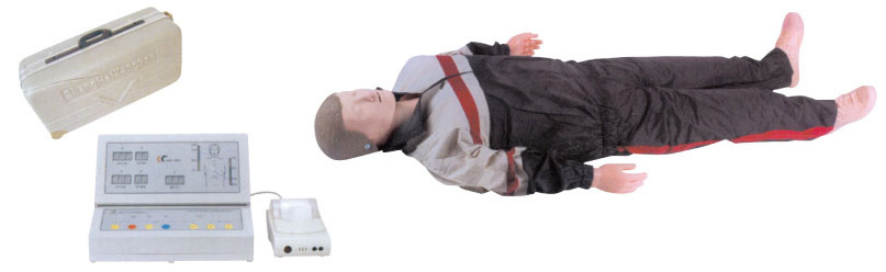 Advanced CPR Training Manikin Model (ZM4002)