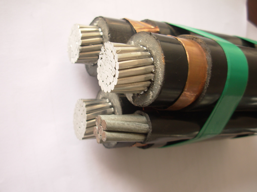 Triplex Service Drop ACSR Neutral Conductor Aega