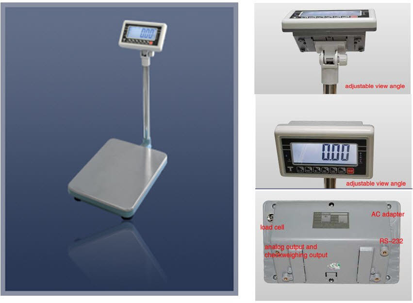 Platform Scale