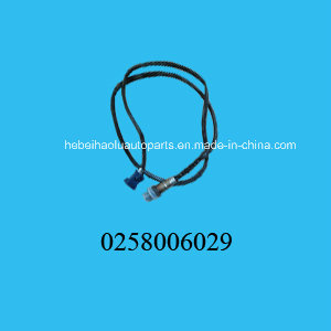 Oxygen Sensor (0258006029) for Peugeot Citroen