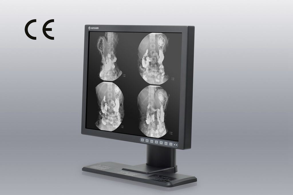1MP 19-Inch 1280X1024 LCD Screen Monochrome Monitor, CE Approved, Angiography Equipment