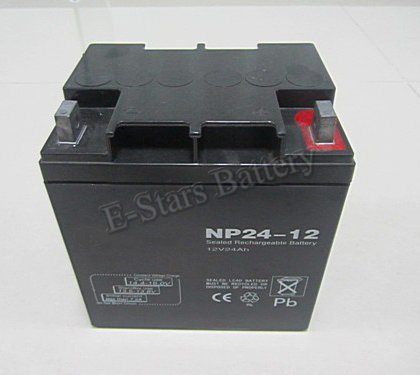 Np24-12 12V24ah Solar Paddy Dryer Battery for Rice Grain Made in China