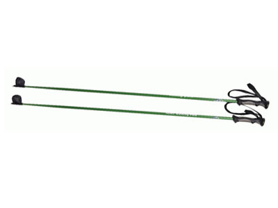 Ski Stick (ZF2103) 