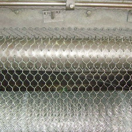 Hexagonal Wire Netting