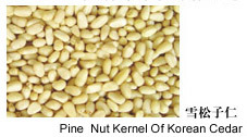 Pine Nut Kernel Of Korean Cedar