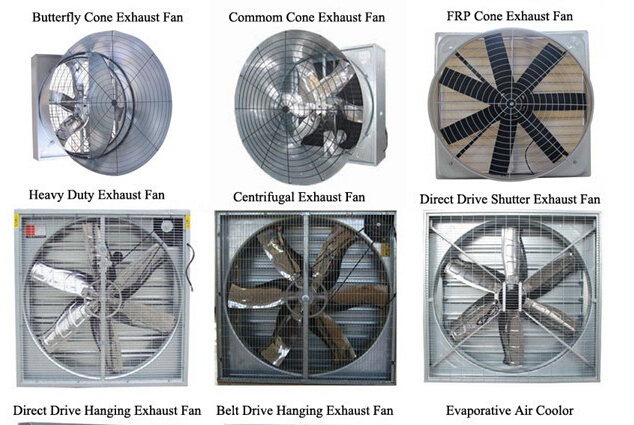 Window or Wall Mount FRP Exhaust Fan