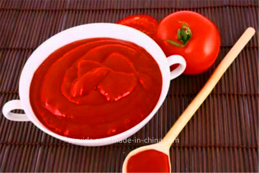36-38% Tomato Paste in Drum From China