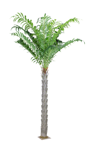 Palm Artificial