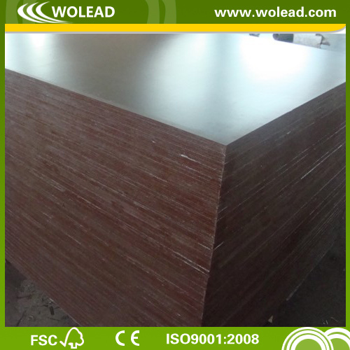 Phenolic Glue Poplar Core 2 Times Hot Pressed Plywood (w15412)
