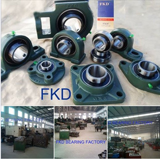 Fkd Bearing/Hebei Hailan Bearing Manufactureco., Ltd