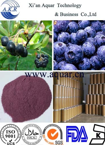 100% Pure Natural Antioxidant Keepling Slim Natural Acai Berry Extract