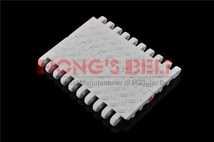 Plastic Conveyor Belt with EU Certificate (HS-100D)