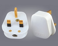 Plug
