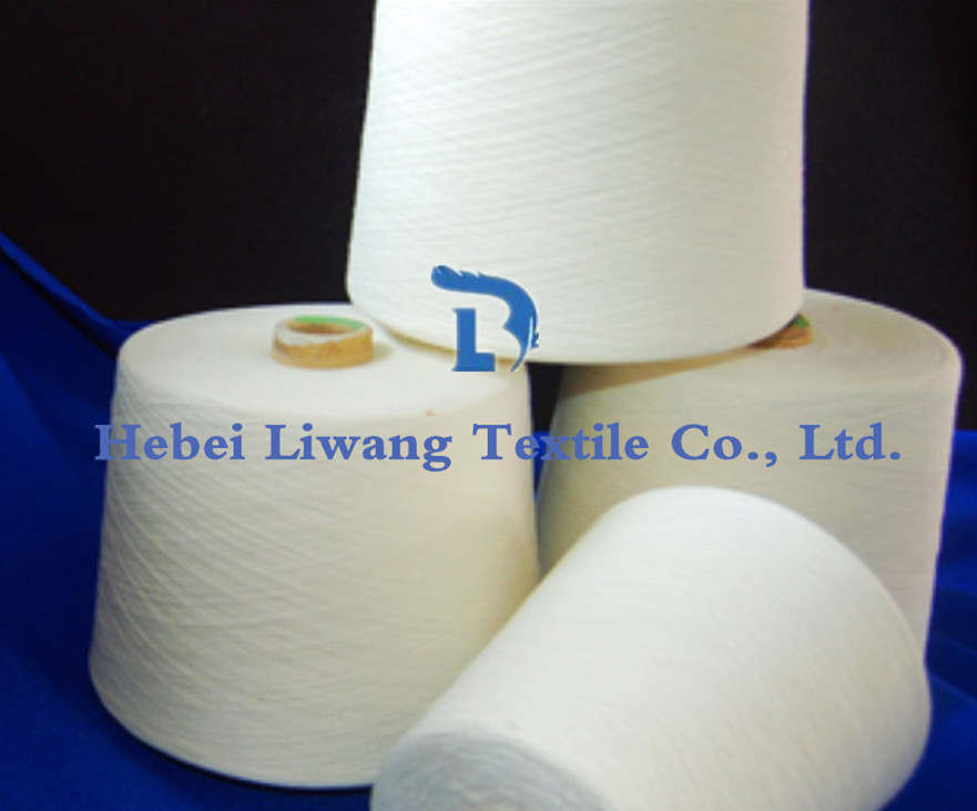 100% Polyester Spun Yarn for Knitting and Weaving