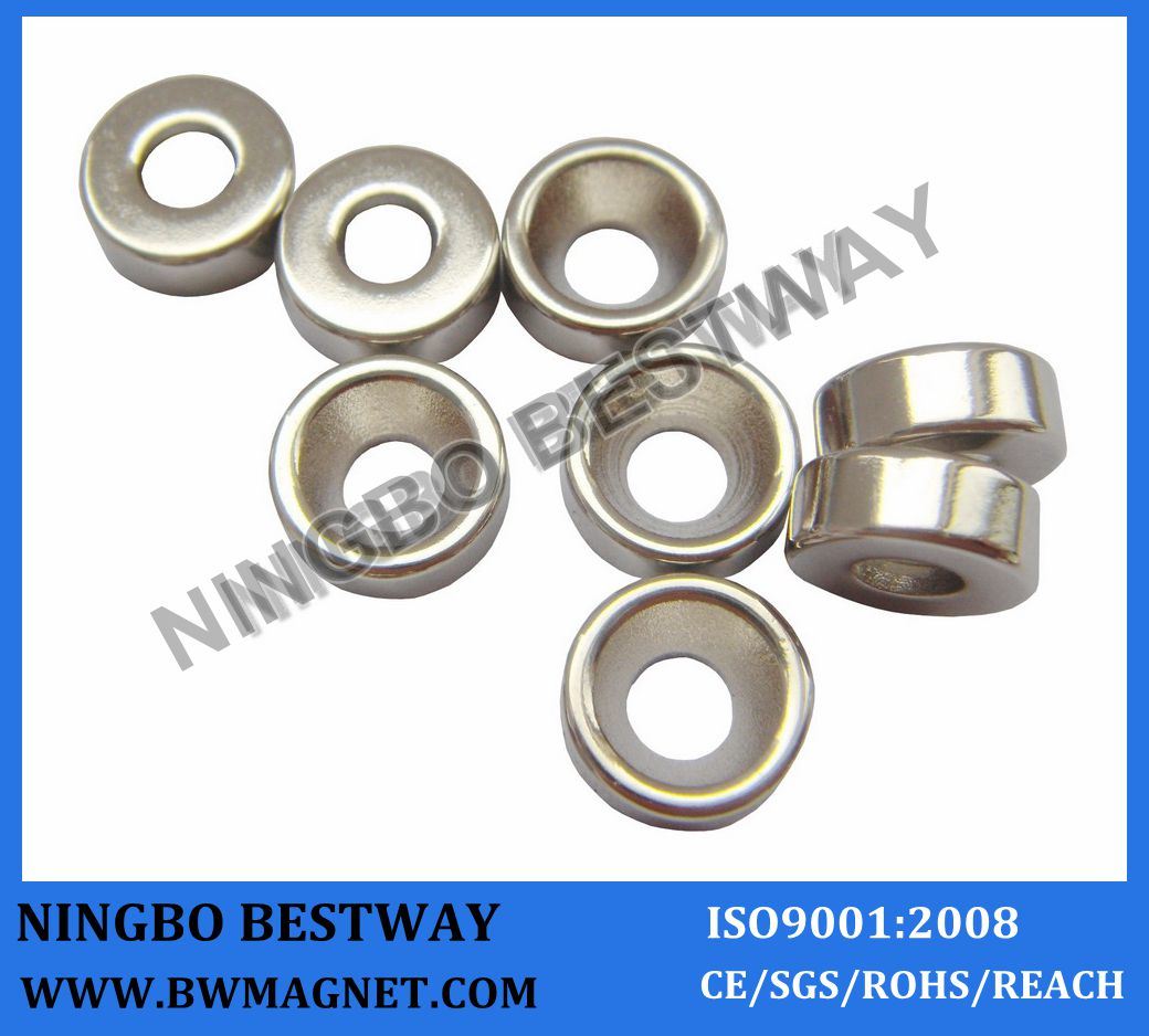 Fast Delivery High Quality Neodymium Permanent Magnet