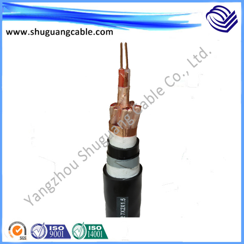 Fireproof/XLPE/PVC/PE/Armor/Shield Instrument Computer Cable
