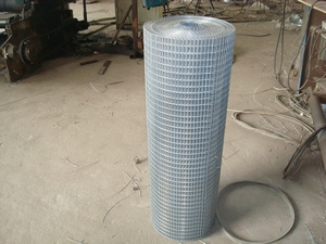 Galvanized Wire Mesh