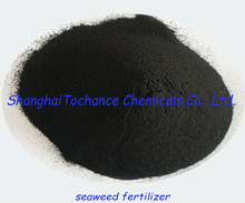 Seaweed Extract