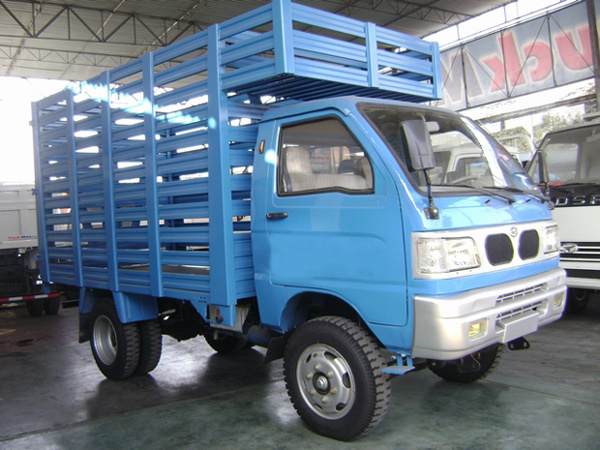 Bulk / Cage / Store Stake Truck (F2810)