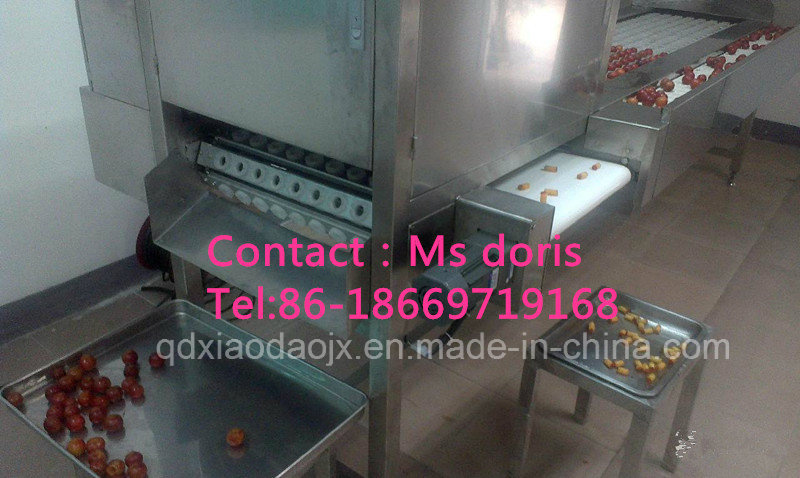 Automatic Dates/Cherry/Plum Pitter/Fruit Pit Machine