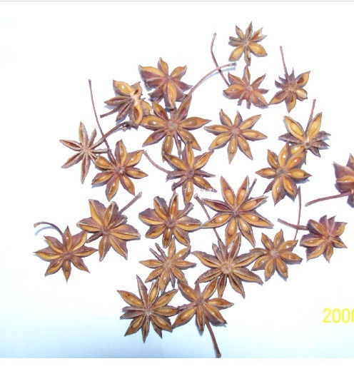 Star Anise