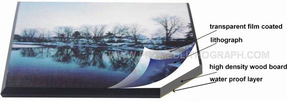Framed Offset Lithograph without Mats
