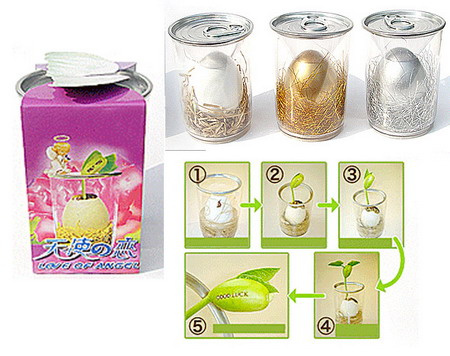 Magic Bean,Magic Egg,Message Bean