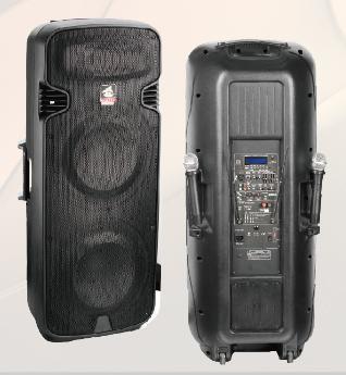 2X15'' 2-Way Portable Battery Speaker PS-12215bt-Wb