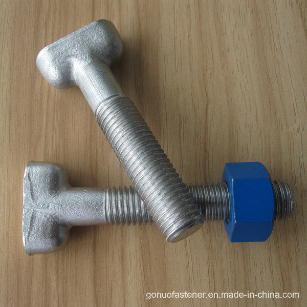 Stainless Steel T Bolt with Nut