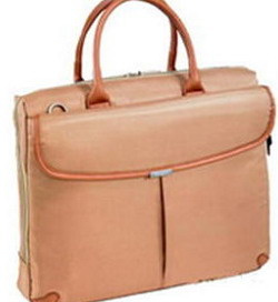 Document Bag