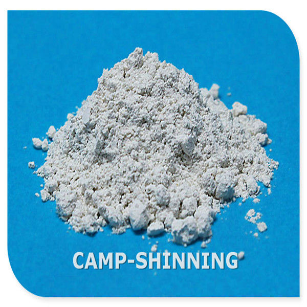 Modified Bentonite Applied in Coatings