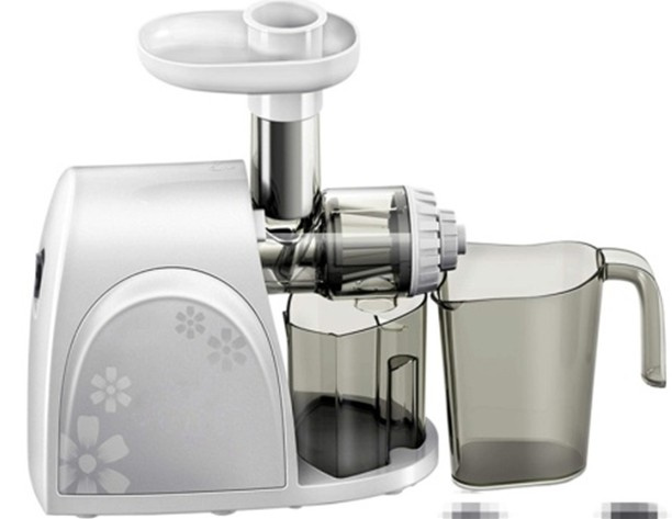 Slow Multi-Function Food Processor Wsh-Bl511