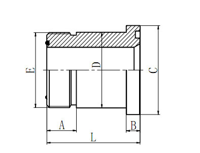 Hydraulic Fitting 1FFS