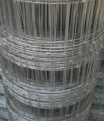 Welded Wire Mesh