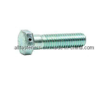 Drilled Hole Hex Bolt (GR-SF077)