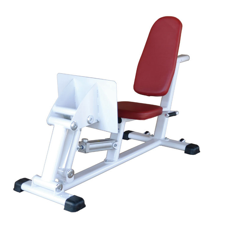 Leg Press