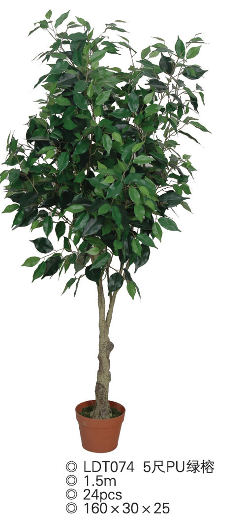 Artificial Ficus
