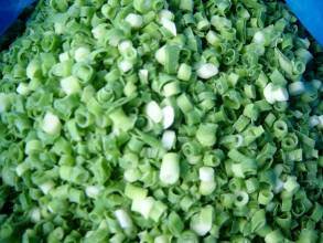 Export Healthy Food Frozen Vegetable Spring Onion