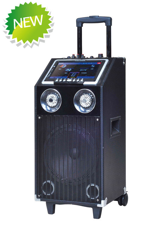 DJ Speaker Box with USB/SD Bluetooth Wireless Microphones (F36)