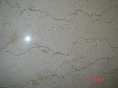 Marble Shell Beige Stone