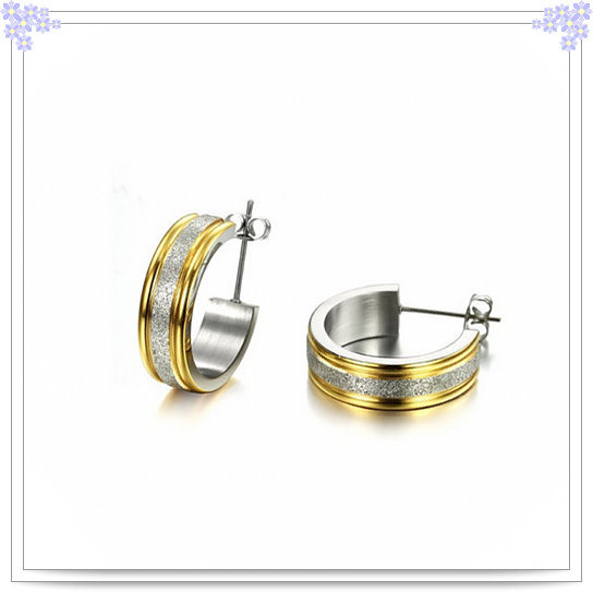 Stainless Steel Jewellery Fashion Jewelry Earrings (EE0029)