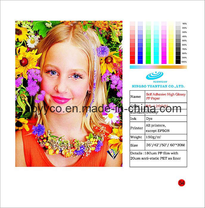 Self Adhesive High Glossy PP Paper