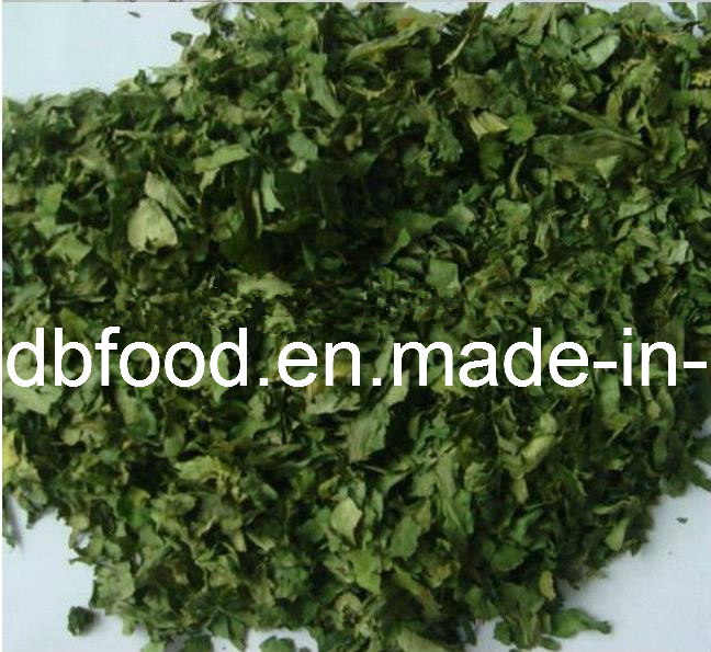Dehydrated Celery Leaves