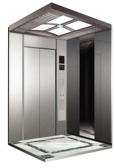 Professional Passenger Elevator