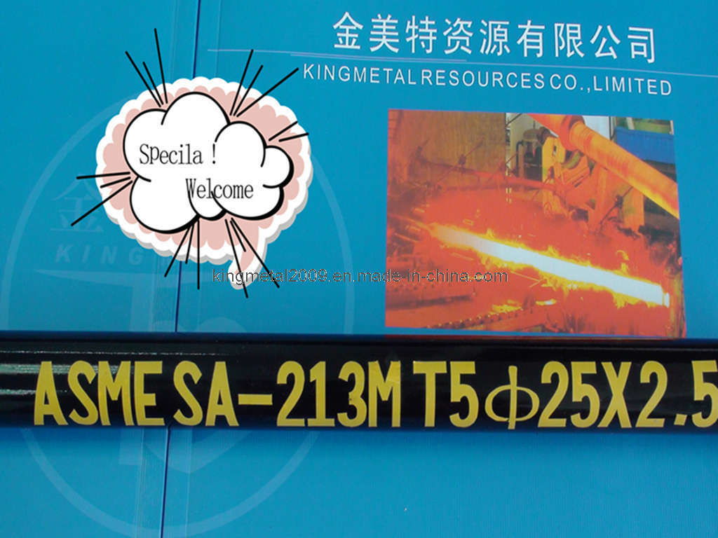 Asmt SA 213 T5 Alloy Steel Pipe