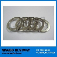 First Class Factory NdFeB Custom Ring Magnet